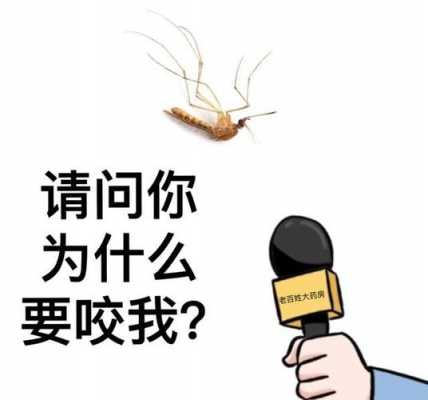 为什么我这么惹蚊子,为什么我特别惹蚊子咬 