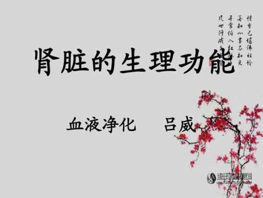  为什么说肾生血「肾生血是什么意思」