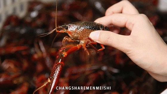 江苏龙虾为什么不去头