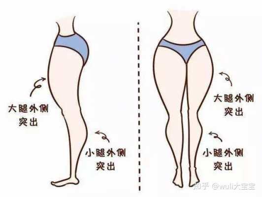 为什么腰瘦腿粗