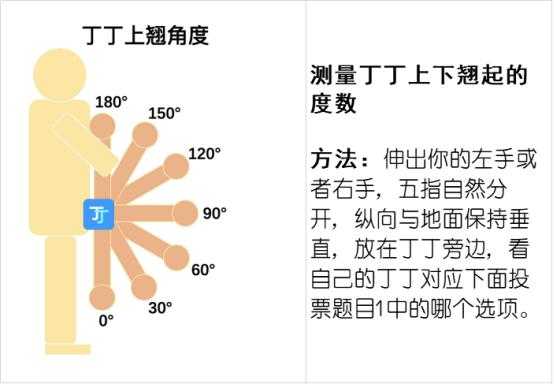 关于勃起后为什么是歪的的信息