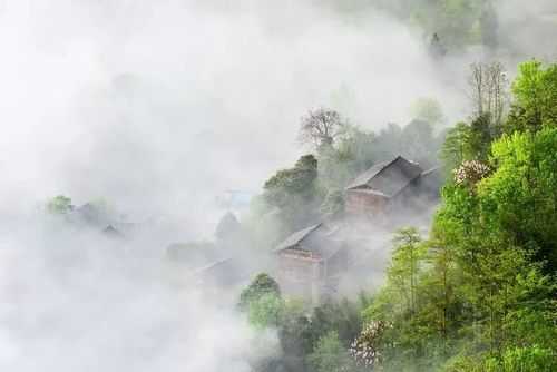 板溪为什么多云雾天气（板溪为什么多云雾天气不好）