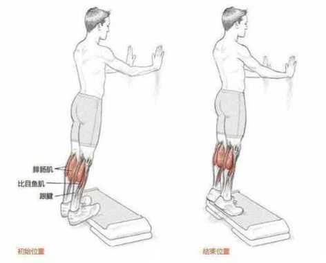 提踵为什么小腿肌肉痛,提踵小腿疼怎么办 