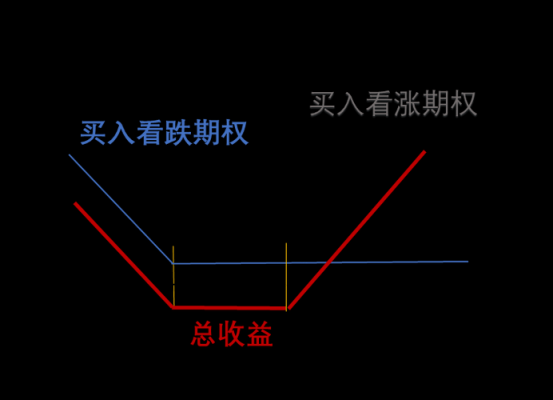 为什么要买入看跌期权_为什么要买入看跌期权基金