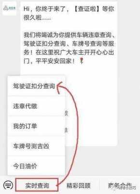 怎么样查驾驶证的分数