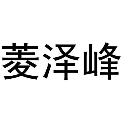 泽峰科技有限公司